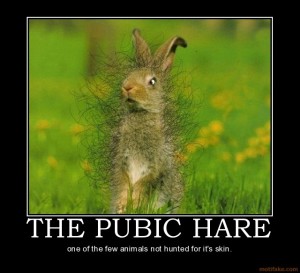 the-pubic-hare-september-challenge-oh-hair-sorry-about-that-demotivational-poster-1252069952